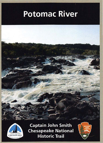 card cover