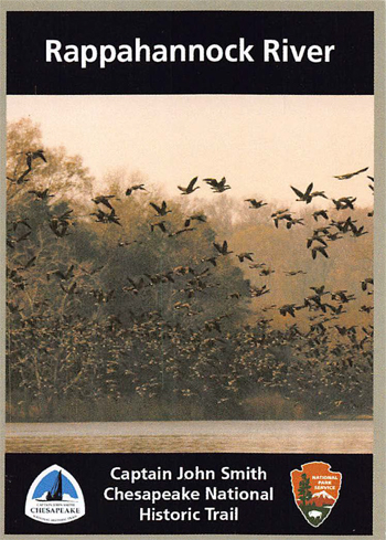 card cover