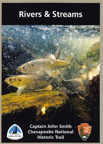 card cover