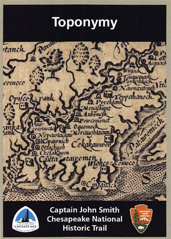 card cover