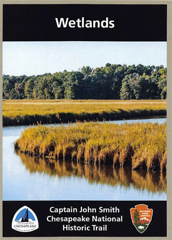 card cover