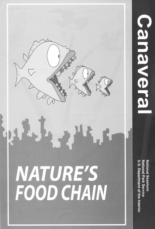 brochure cover