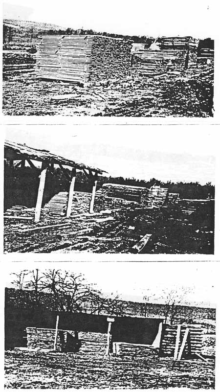 saw mill photos