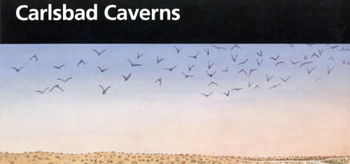 brochure cover
