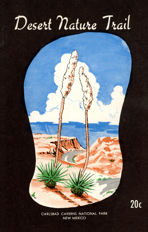 brochure cover