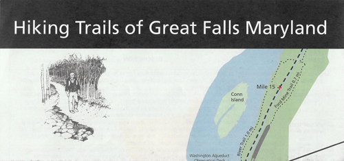 brochure cover