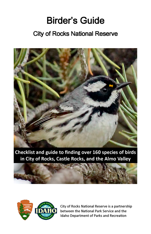 brochure cover