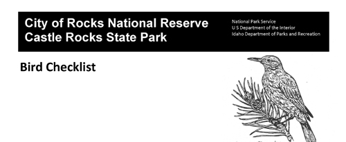 brochure cover