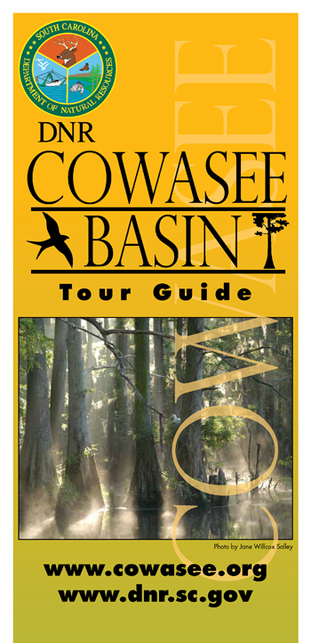 brochure cover