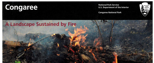 brochure cover