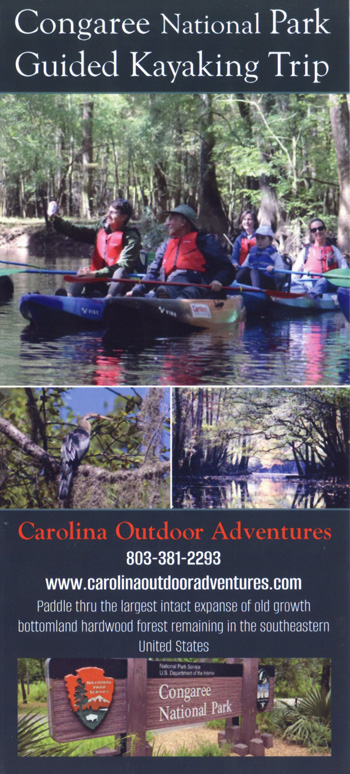 brochure cover
