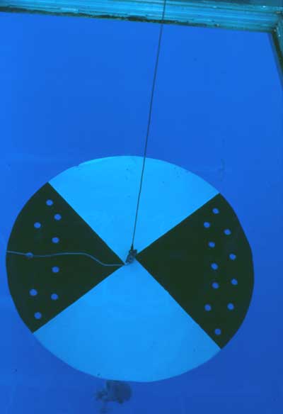 secchi disk
