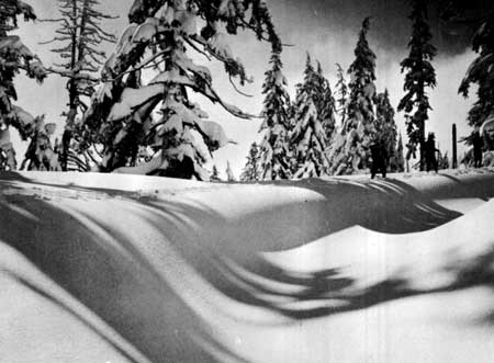 skiers