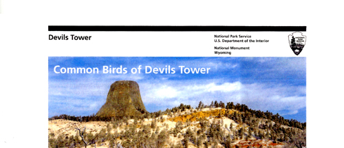 brochure cover