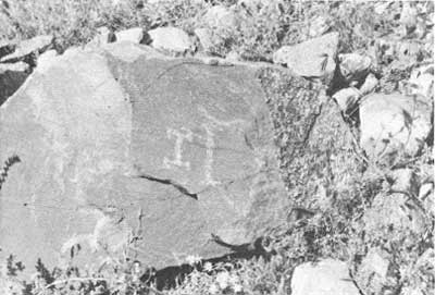 petroglyphs