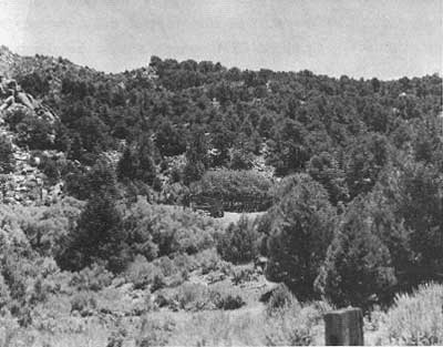 corral