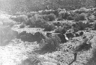 tent site