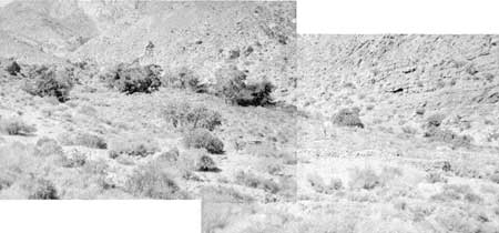 ranch site