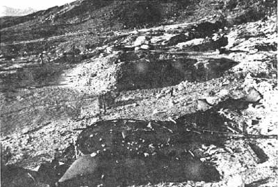 cyanide mill
