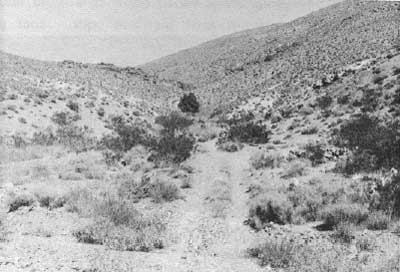 Keane Springs townsite