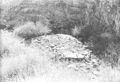 foundation