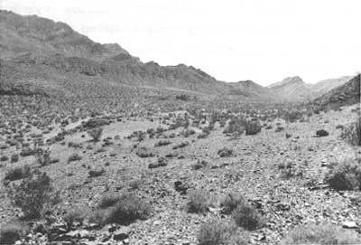 Schwab townsite