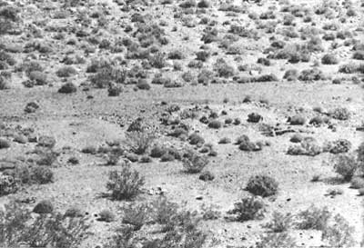 Schwab townsite