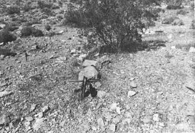 grave site