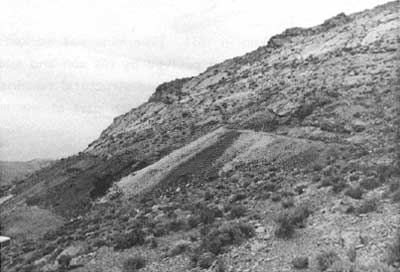dumps of Franklin Mine