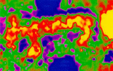 Magnetic Image of Bear Effigy Mound