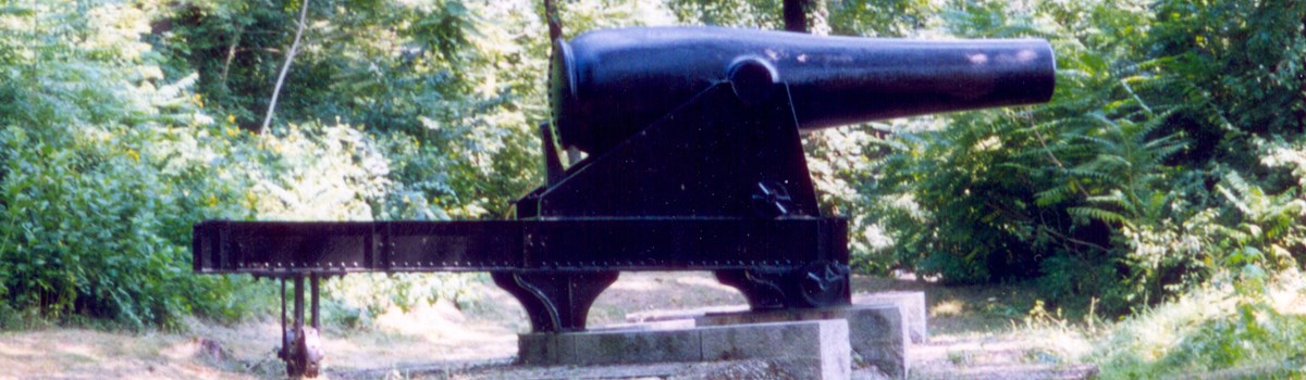 Park Photo