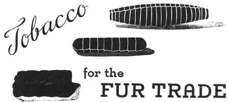 sketch of tabacco