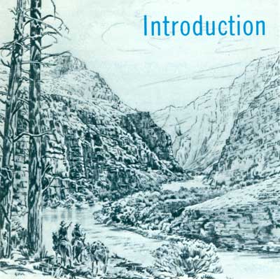 Introduction