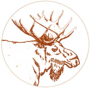 moose