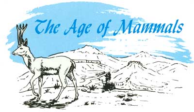 The Age of Mammals