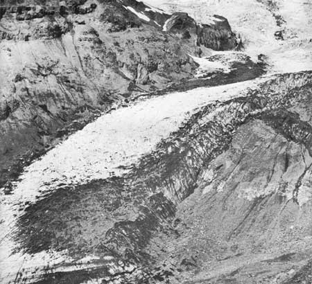 Nisqually Glacier