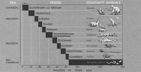 geologic time