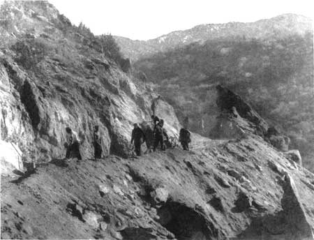 CCC cutting truck trail—Sequoia
National Park