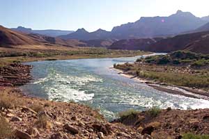  [Section of the Colorado River corridor surveyed in 1990-91. The areas investigated include the river's edge to the vegetated areas.] 