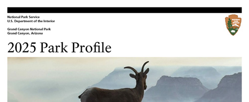 brochure cover