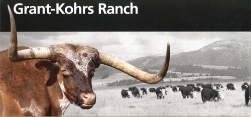brochure cover