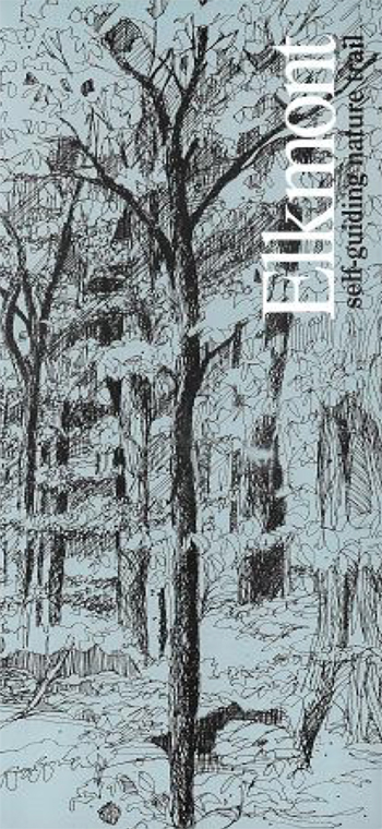 brochure cover