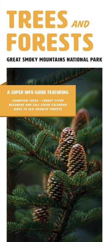 brochure cover