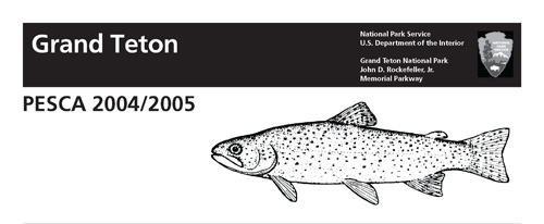 brochure cover