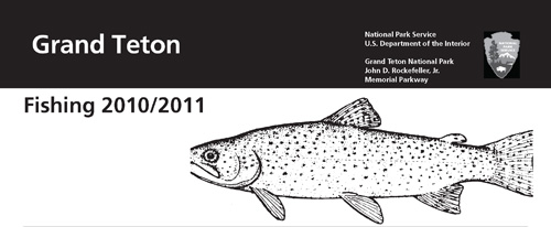 brochure cover