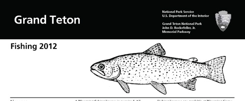 brochure cover