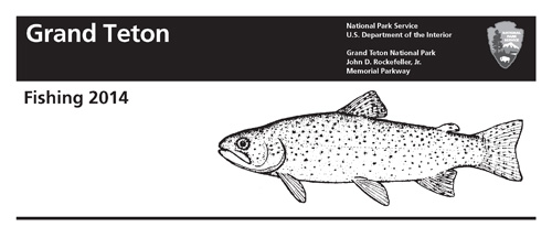 brochure cover