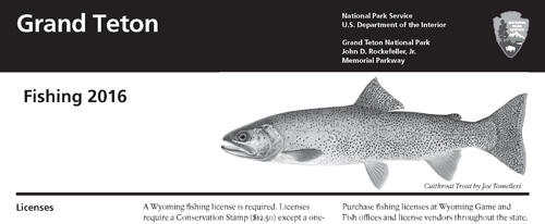 brochure cover