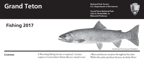 brochure cover