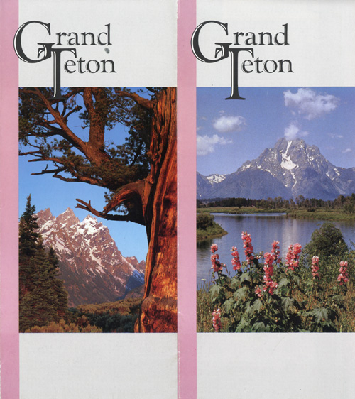 brochure cover